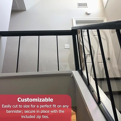 Miniatura 5 de Cardinal-Banister escudo protector, Transparente