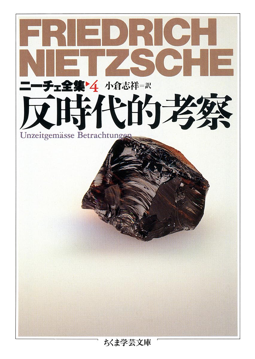 ニーチェ全集 第1〜4巻 理想社 Amazon.co.jp: 『ニーチェ全集』 理想社版 : ホーム＆キッチン