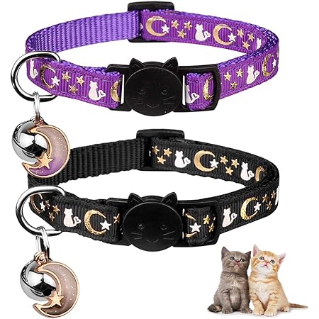 kitten collars amazon