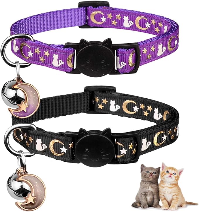 best kitten collars