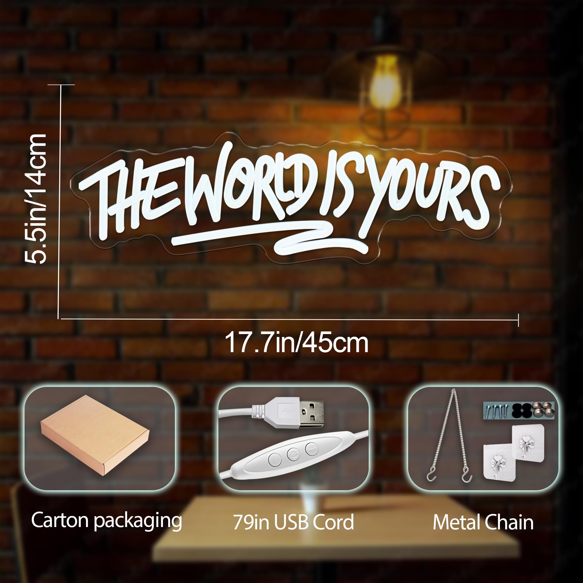 The World is Yours Neonschild, USB-betrieben, dimmbar, LED-Lichter für Schlafzimmer, Spielzimmer, Männerhöhle, Bierbar, Hochzeit, Geburtstag, Party, Wanddekoration, Neonschild, 45 x 14 cm