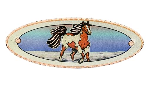 Clip de pelo ovalado de caballo colorido clip ecuestre francés pasador, accesorios para el cabello joyería del caballo disponible en Yaxa Mexico