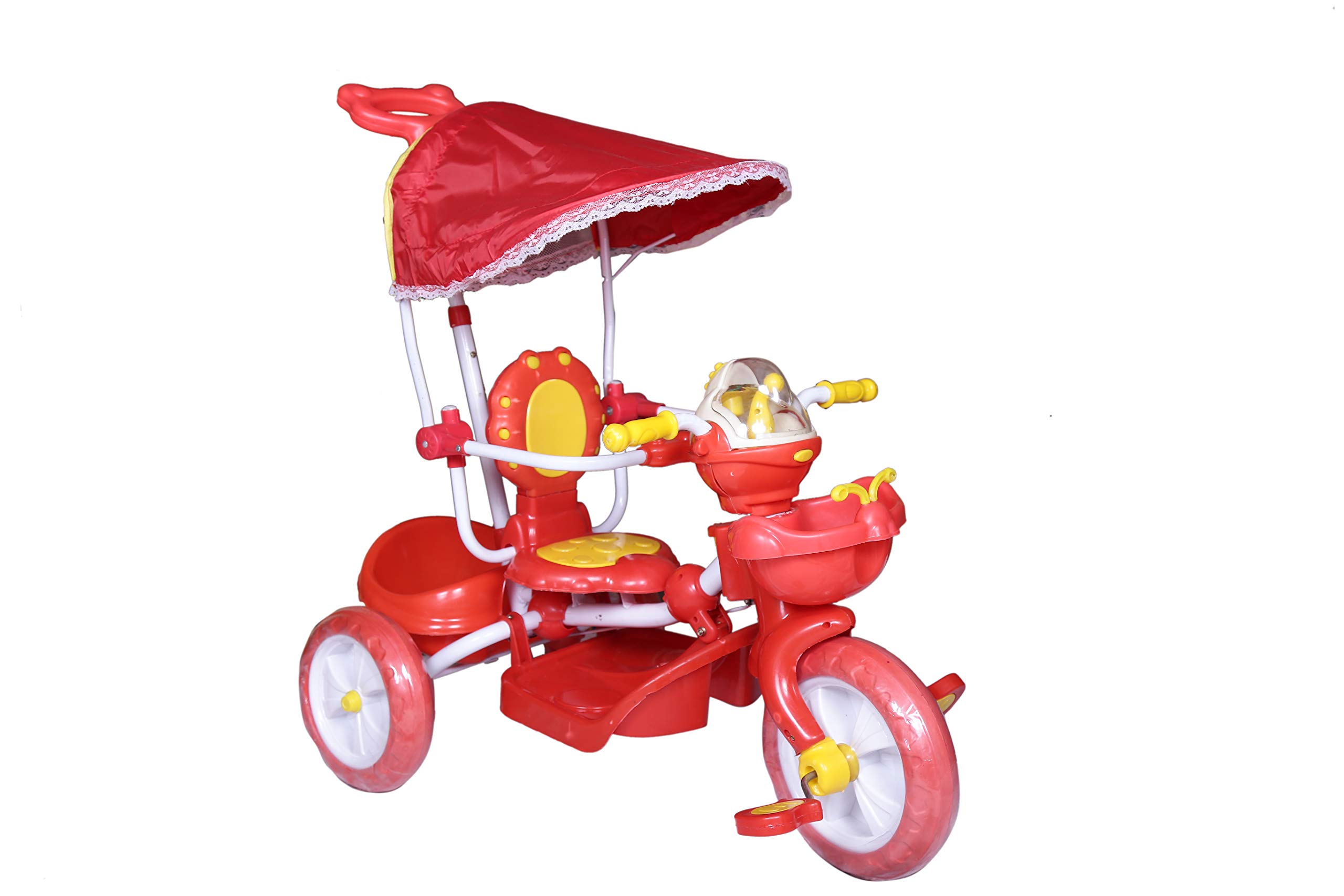 Donald's Baby Tricycle with Shade and Parental Control (Assemble Required - Yes)