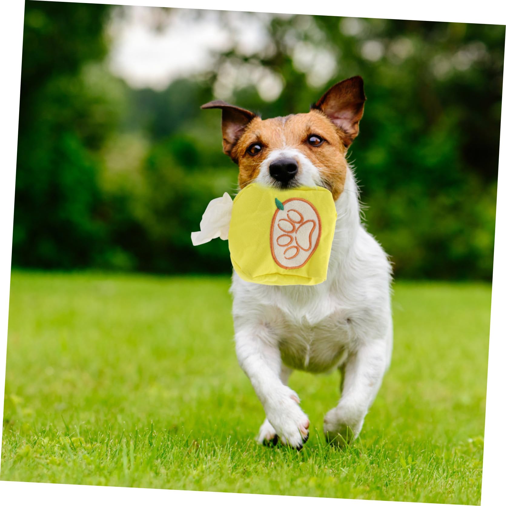 Mipcase 5stücke Tissue Toy Für Hunde Snuffle Train Spielzeug Geruchssinns Energiesparend Interaktives Spielzeug Für