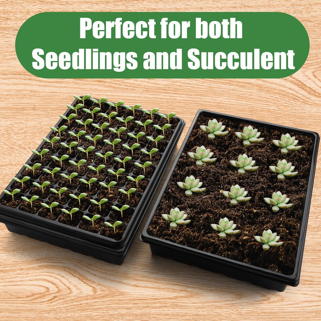Heavy Duty Seed Starter Trays with 5'' Tall Humidity Domes & 2.75'' Deep Cells – 3-Pack (162 Cells Total) Reusable Plant Germination Kit, Durable Plastic Seedling Trays for Herbs, Vegetables - Image 7