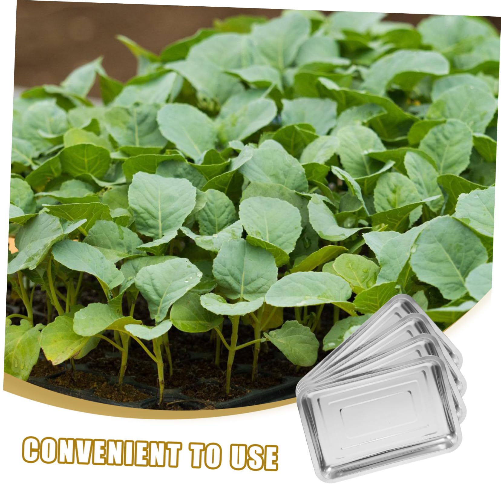 Vassoio per Germinazione Semi in Acciaio Inox, Set 4 Pezzi Argento