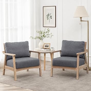 Accent Chair Set of 2, Mid Century Modern Armchair, Charcoal