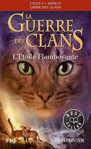 Couverture de L'étoile flamboyante