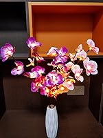 Vista 9 de Fantasee Purple Orchid Twig Lights, 20 LED Artificial Phalaenopsis Branch Lights Battery Powered Flexible Branch Decor Lights for Home Shop Window