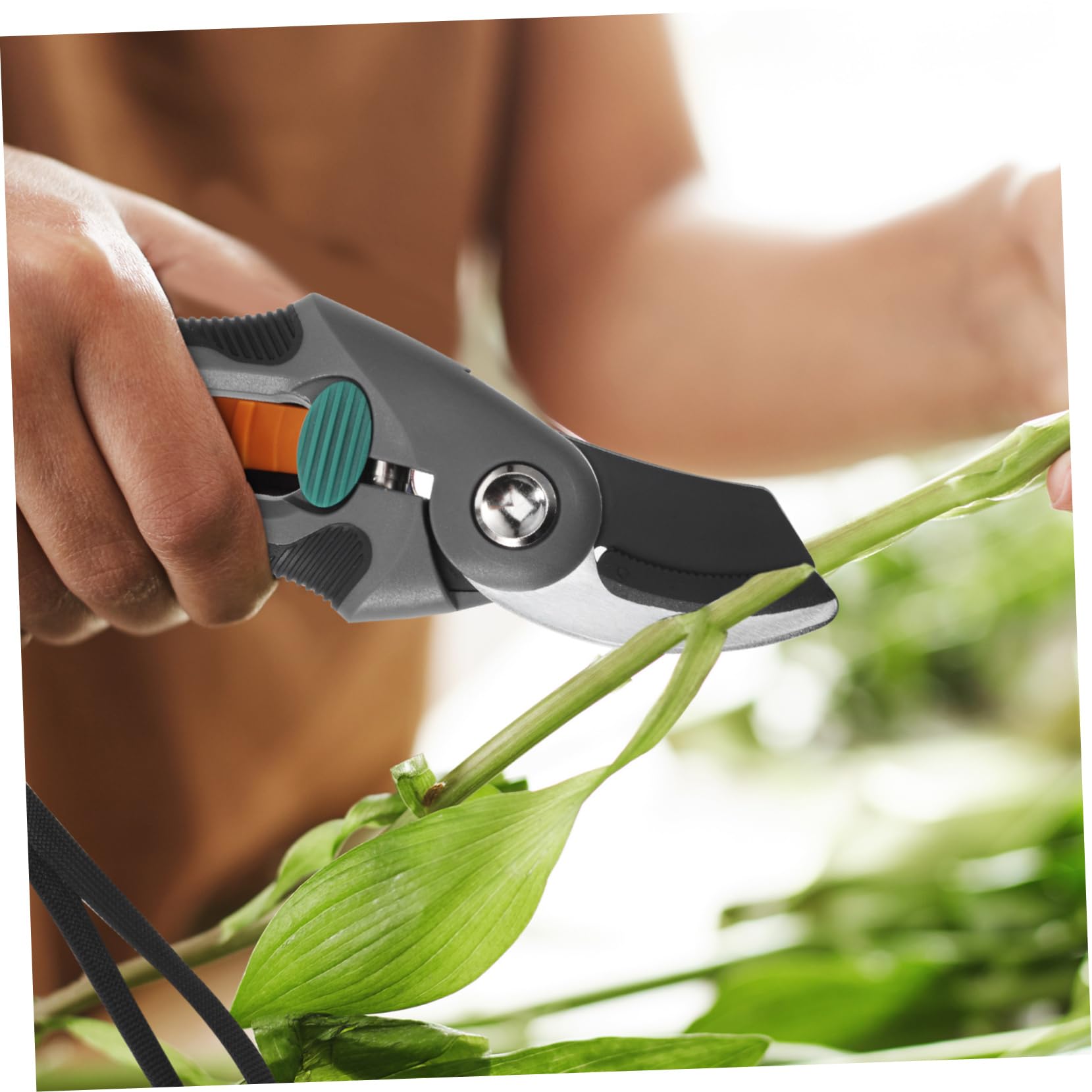 Sosoport Cesoi per Potatura da Giardino Forbici Molla per Taglio Rami Utensili Manuali Impugnatura Ergonomica Acciaio ad Alta Resistenza per Potatura Alberi e Bonsai