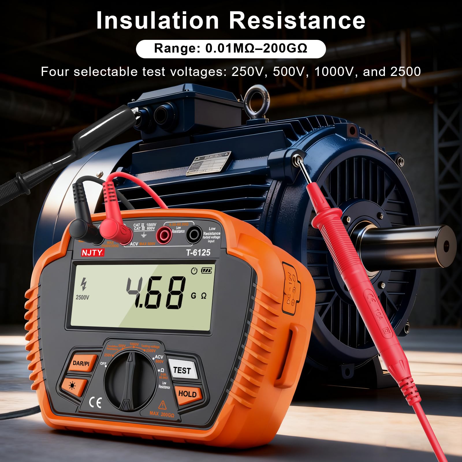 NJTY T6125 Insulation Resistance Tester - 2500V -2