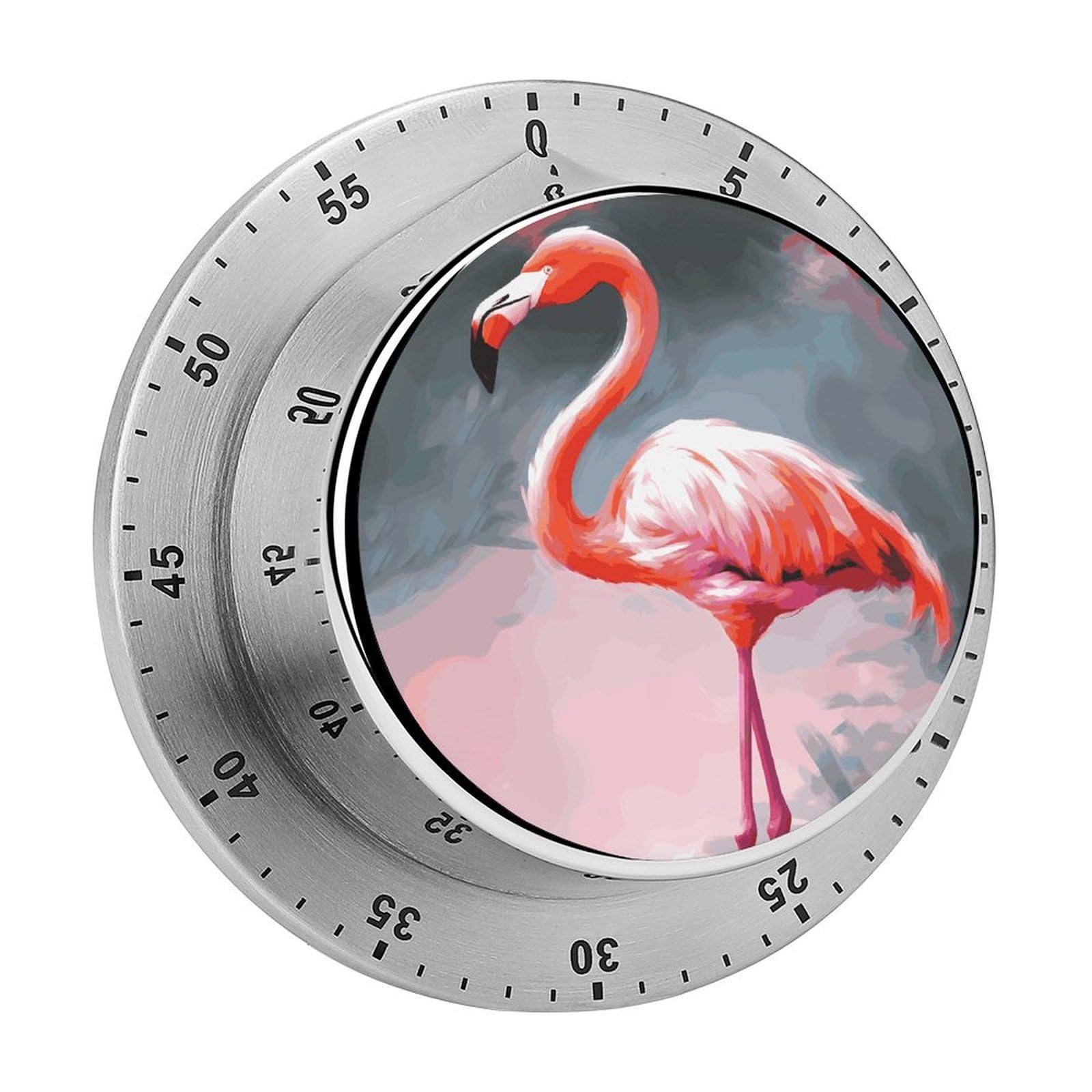 Painting Flamingo Timer Loud Mechanical Timer Stainless Steel 60-Minute Kitchen Timers Waterproof Chef Cooking Timers Sport Countdown Clock Portable Countdown Alarm Adult