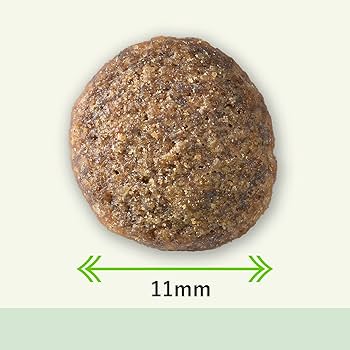 プラペ　PLANET　PET　２kg✕４袋 Amazon.co.jp: Planet Pet プラペ ! ・シニア (7+) 及び 体重