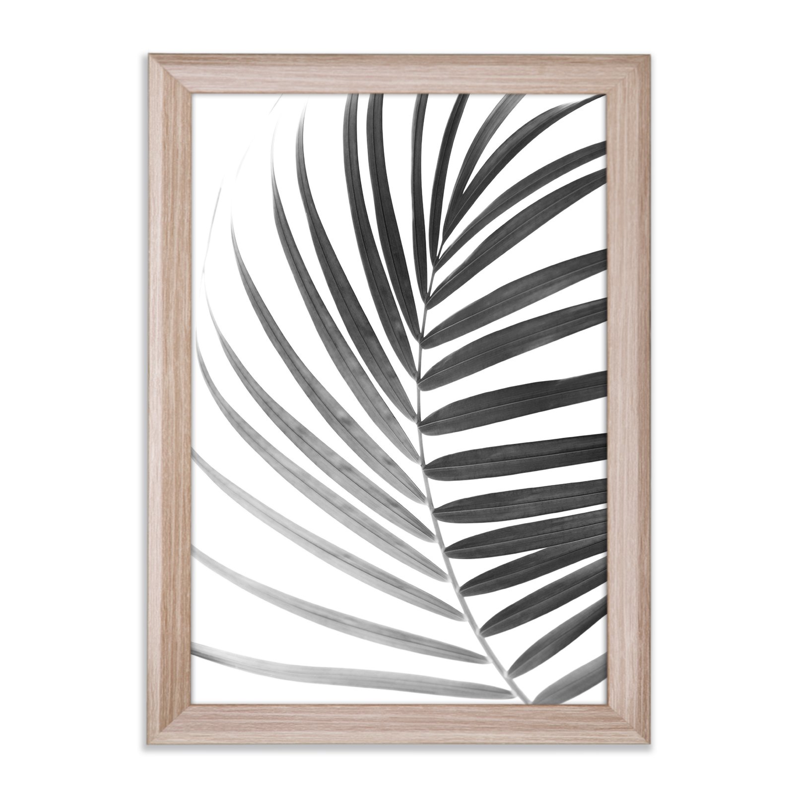 PRIO - Lámina de palmera (61 x 91 cm, con marco de fotos, roble sonoma, decoración)