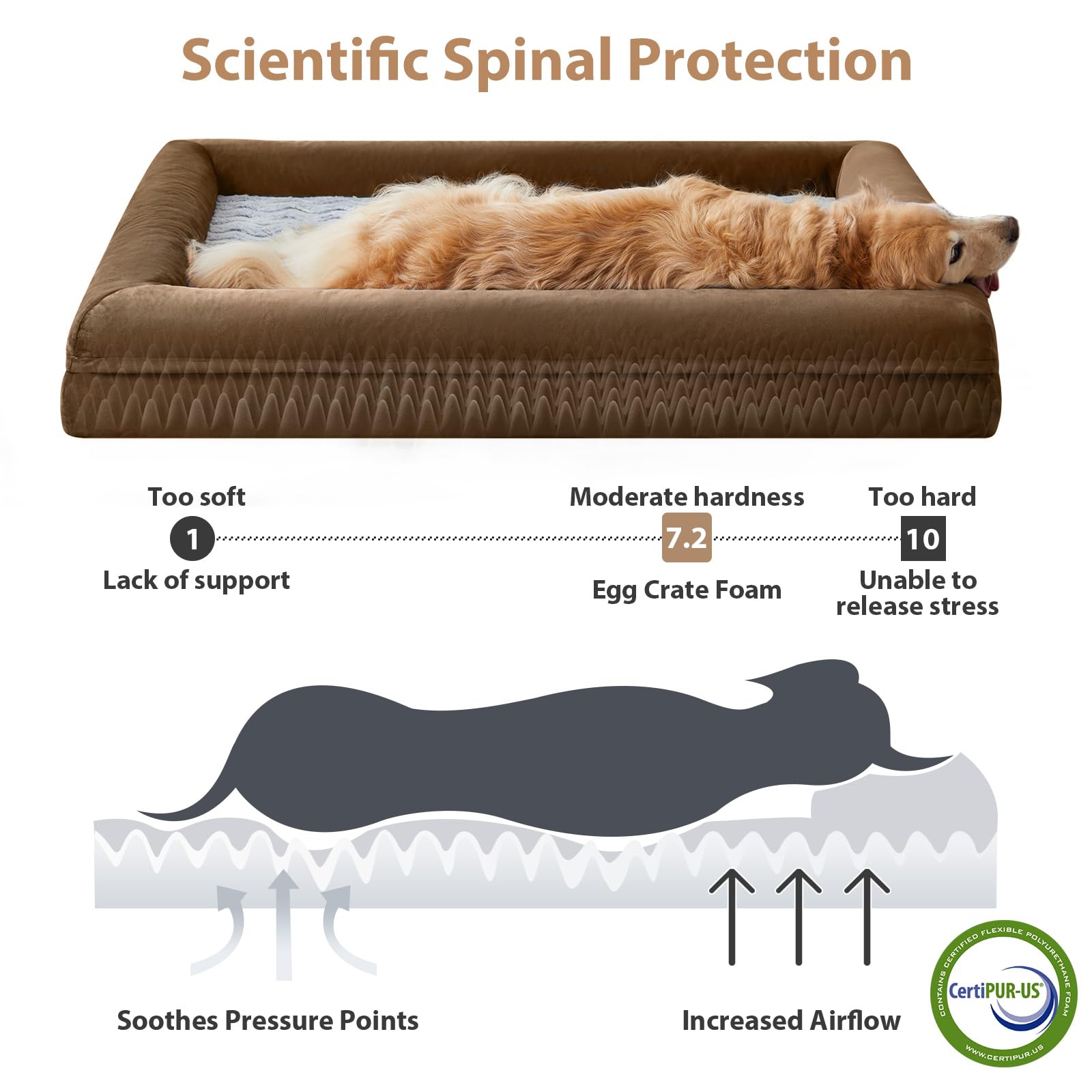 WNPETHOME Camas lavables para perros de gran tamaño, cama para perros XXXL, cama ortopédica para perros con funda extraíble e impermeable, cama extragrande para perros con lados de refuerzo para