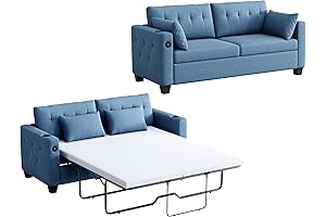 LINSY HOME Queen Convertible Sofa Bed