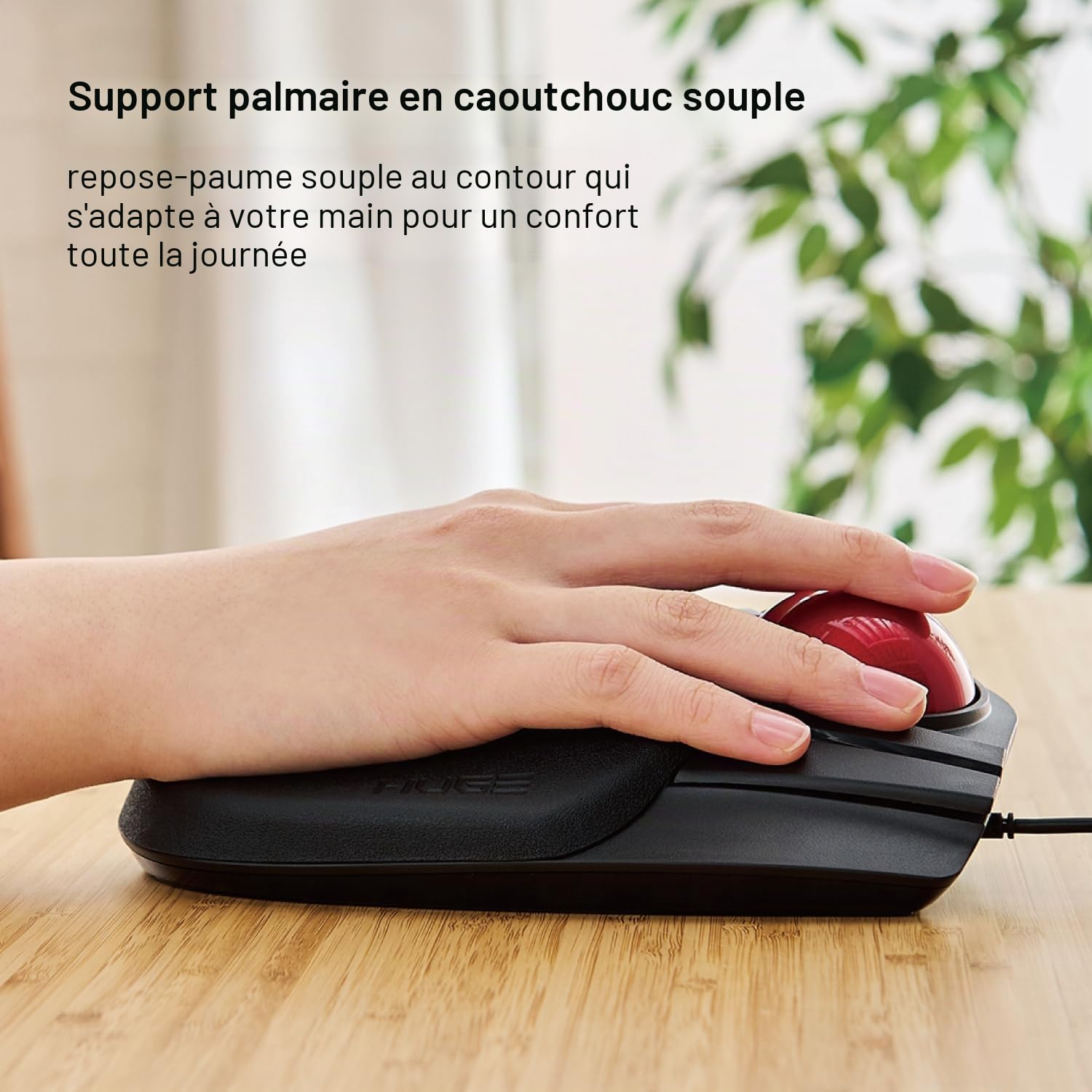 ELECOM Grande Souris trackball Filaire avec Fonction à 8 Boutons, Repose-Poignet attaché, Boule Rouge Lisse Windows11, macOS (M-HT1URBK)