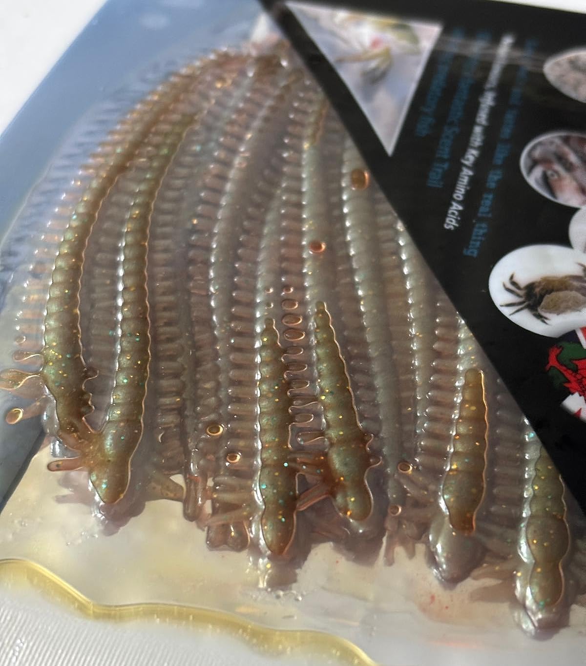 Sea Fishing - Green/Brown RAGWORM lures - Suspended in Natural Ragworm Oil - 4 Inch (10.5cm) - x12 per pack - Target Bass, Cod, Sole, Plaice and Flounder