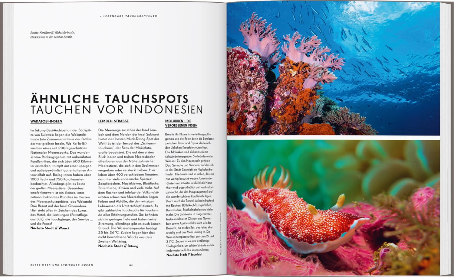 LONELY PLANET Bildband Legendäre Tauchabenteuer: 40 einzigartige Tauchspots auf der ganzen Welt