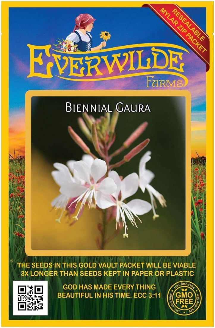 Everwilde Farms - 1/4 Lb Biennial Gaura Native Wildflower Seeds - Gold Vault