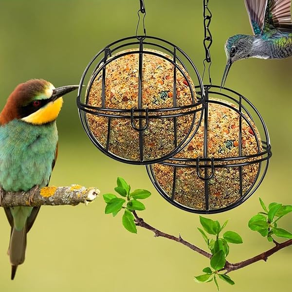 Mangiatoia per uccelli per esterni, in metallo, resistente alle intemperie, 8 pezzi, mangiatoie per uccelli da esterno, per fringuelli, pettirossi, passeri, canarini, pappagallini, cortile, balcone - 3