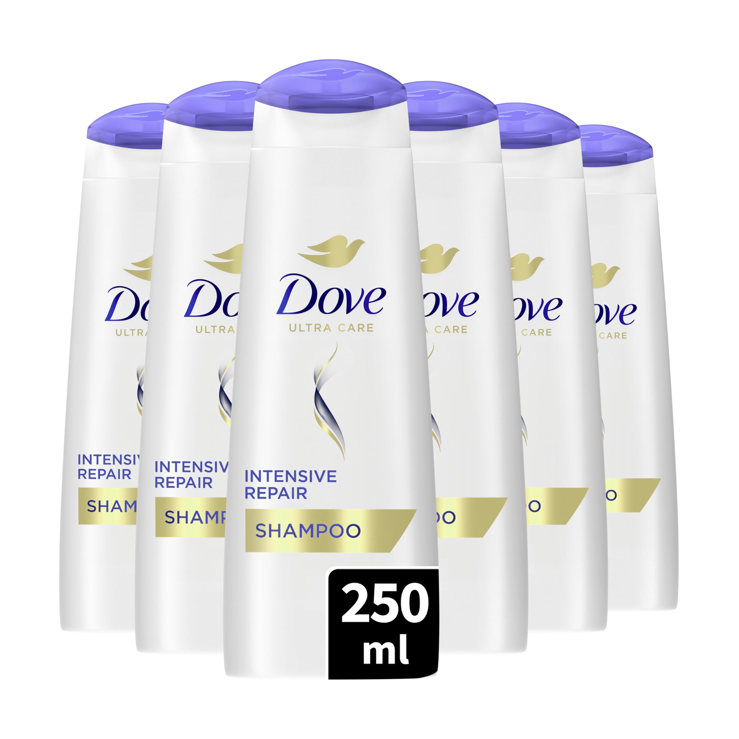 DOVE - Shampooing Réparation Intense - Nourrit les cheveux abîmés - Renforce les cheveux et aide à la réparation (lot de 6x250ml)