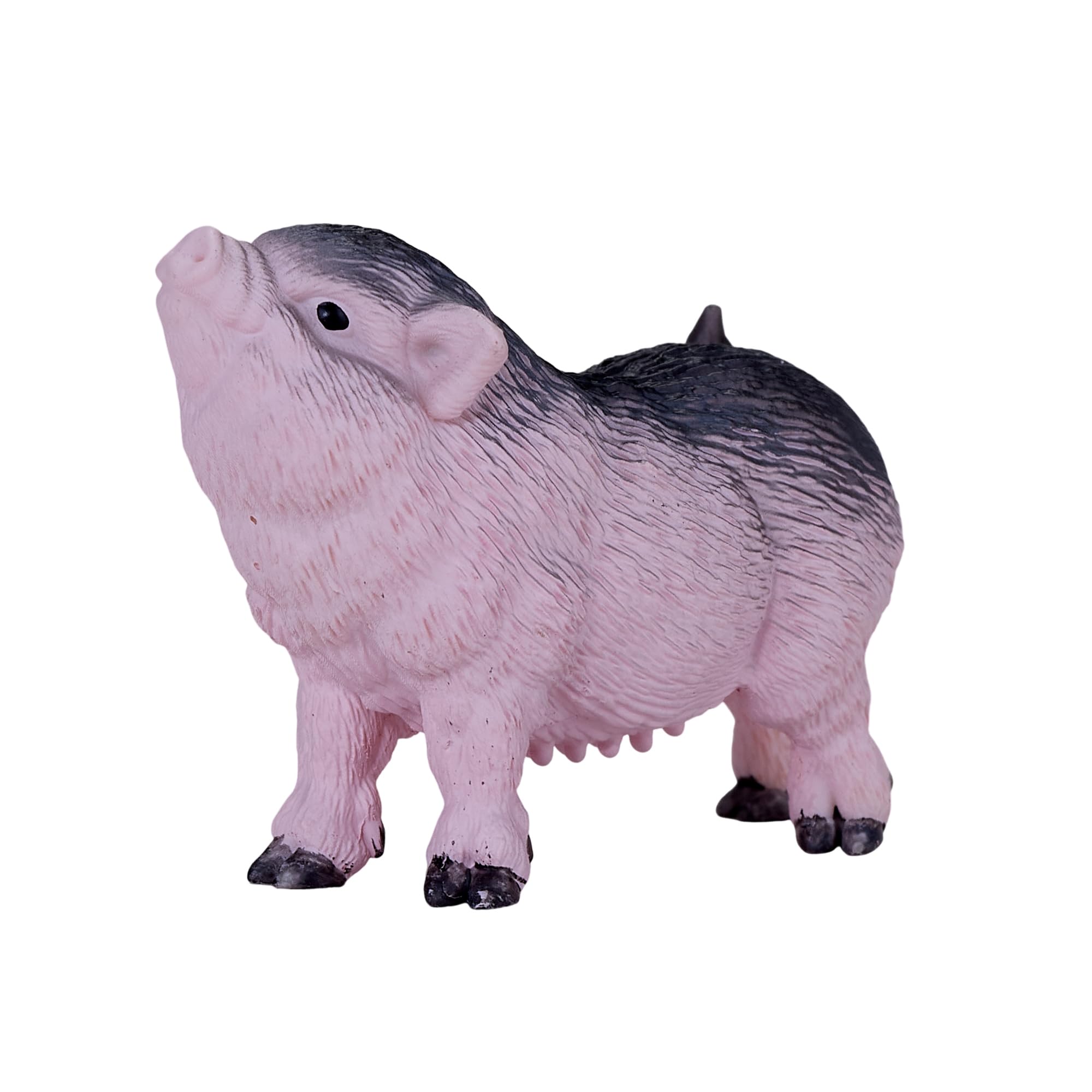 MOJO - Pot Bellied Piglet - Image 3