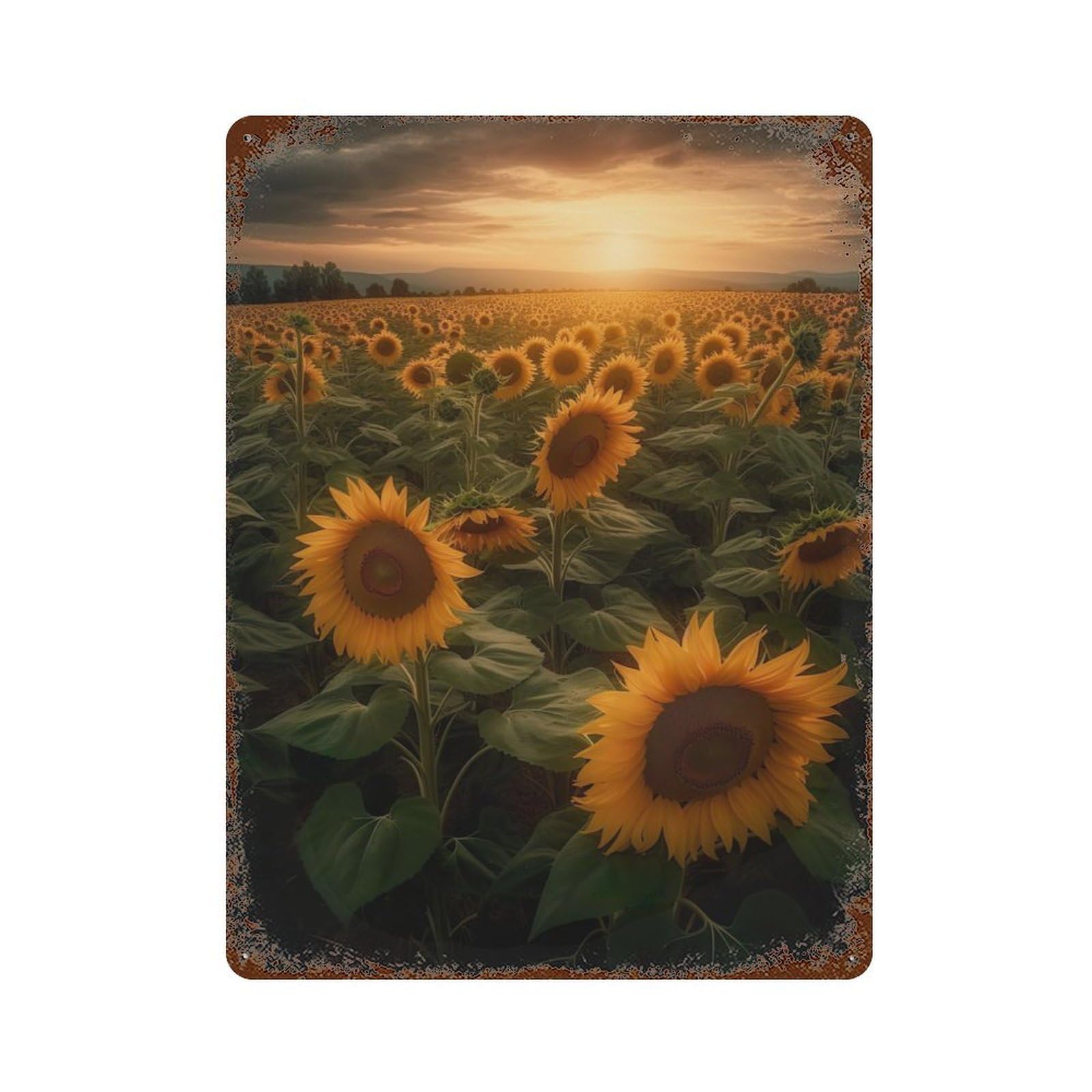 Sunflower Field Farmlands Vintage Wall Sign 15.7"x11.8", Rust Effect Metal Decor for Cafe, Home Bar And Lounge Decor