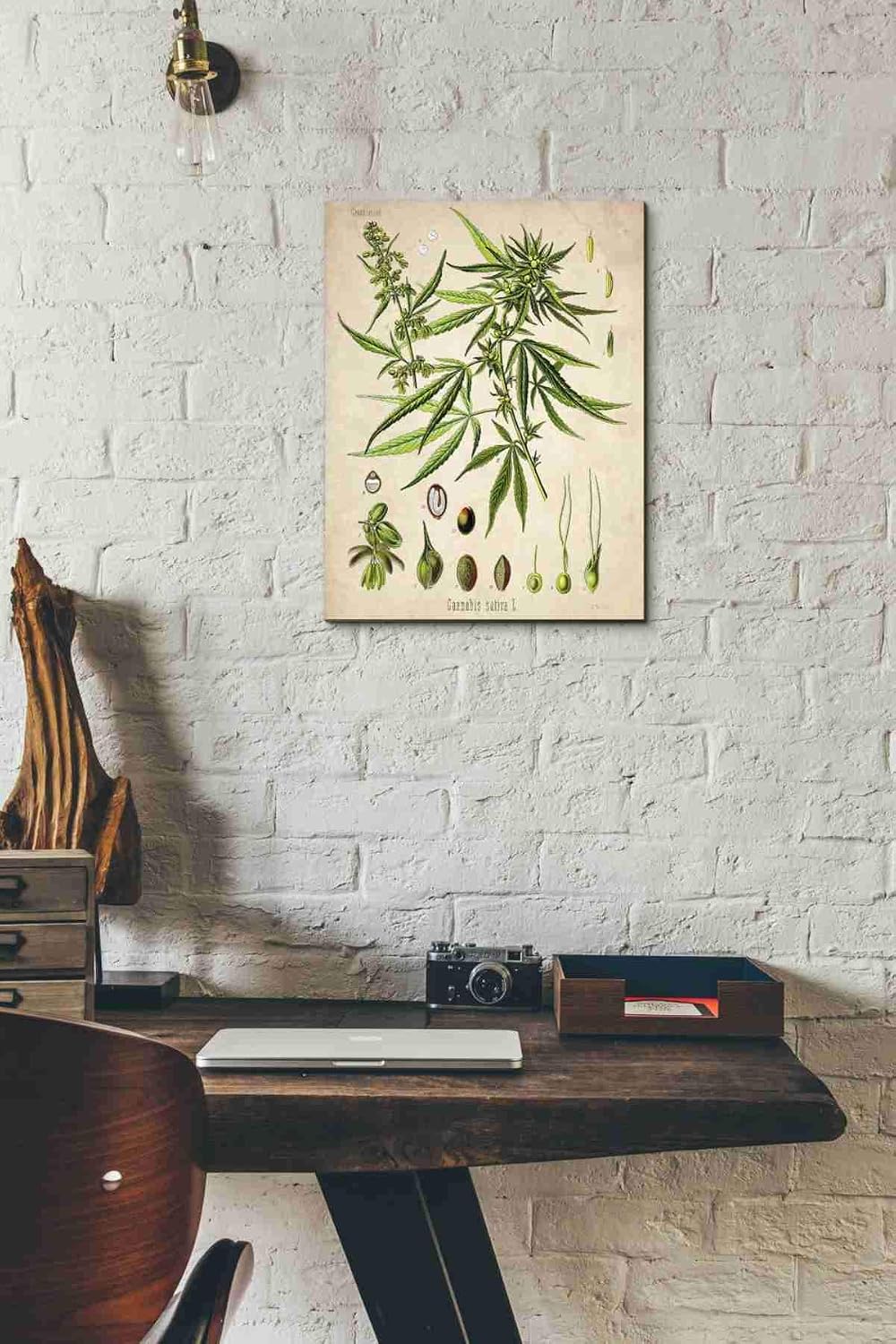 Epic Graffiti 'Cannabis Sativa' by Walther Otto Muller, Canvas Wall Art, 12"x16"