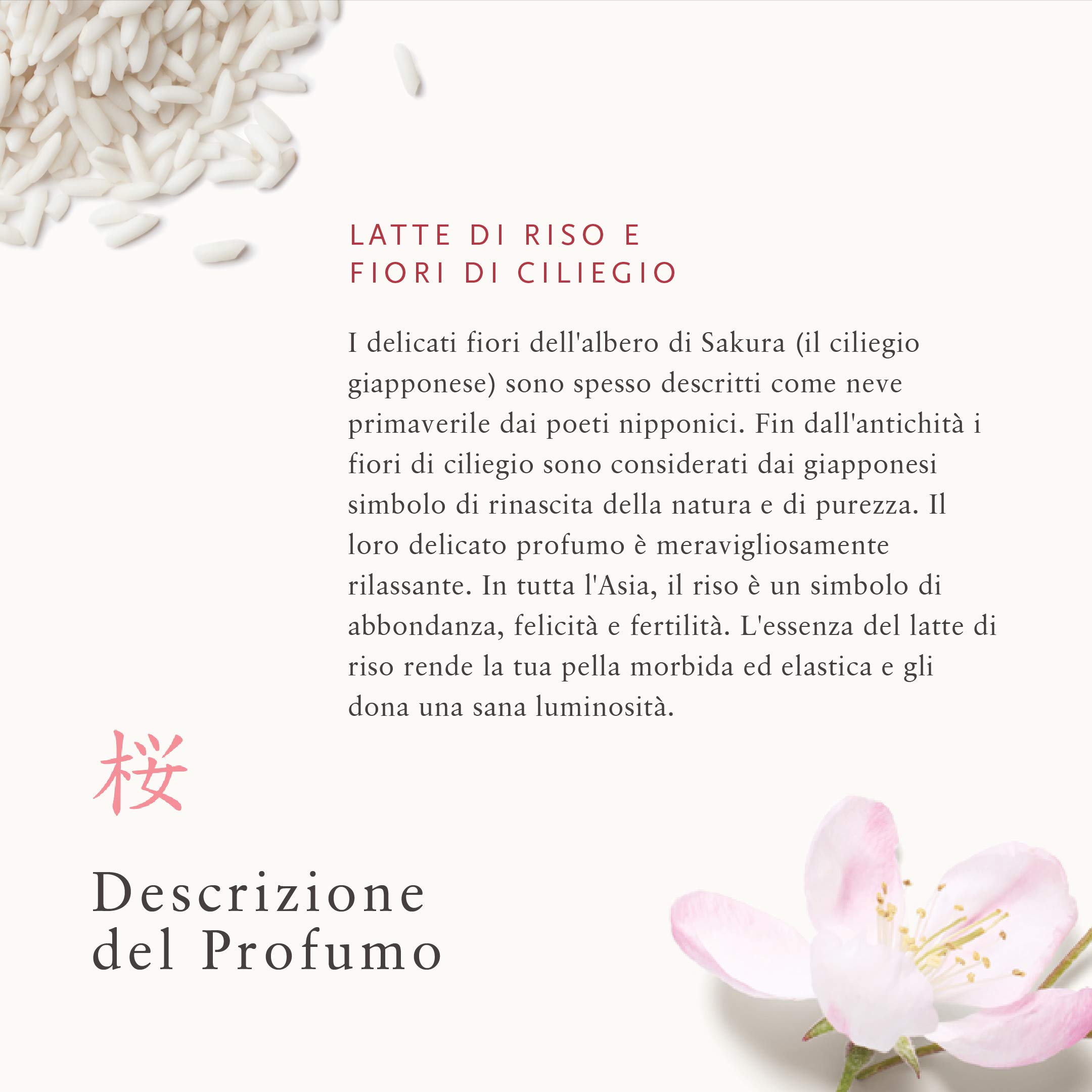 RITUALS Balsamo Mani di The Ritual of Sakura, 70 ml - Con Latte di Riso & Fiore di Ciliegio - Proprietà Nutrienti per la Pelle