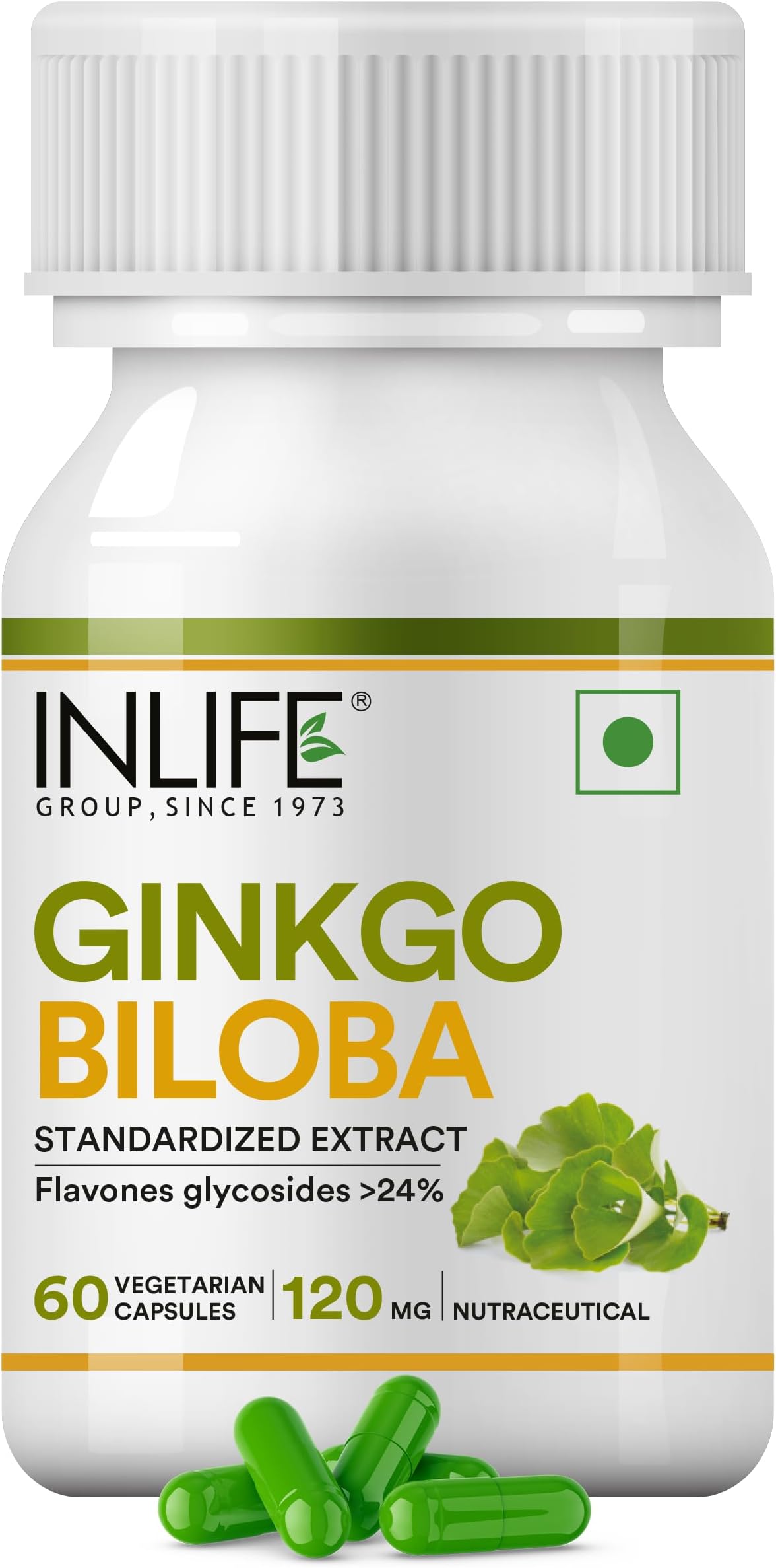 Ginkgo Biloba Extract 120mg, Nootropic Herbal Supplement, Memory Brain & Circulation Health, Men Women, 60 Veg Capsules (Pack of 1, 60)