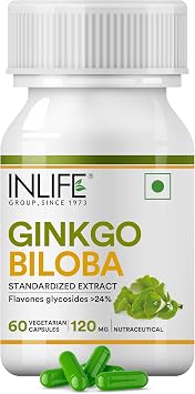 INLIFE Ginkgo Biloba Extract Capsules 120mg | Herbal Supplement - 60 Vegetarian Capsules