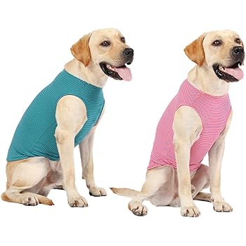 xxxl dog shirts