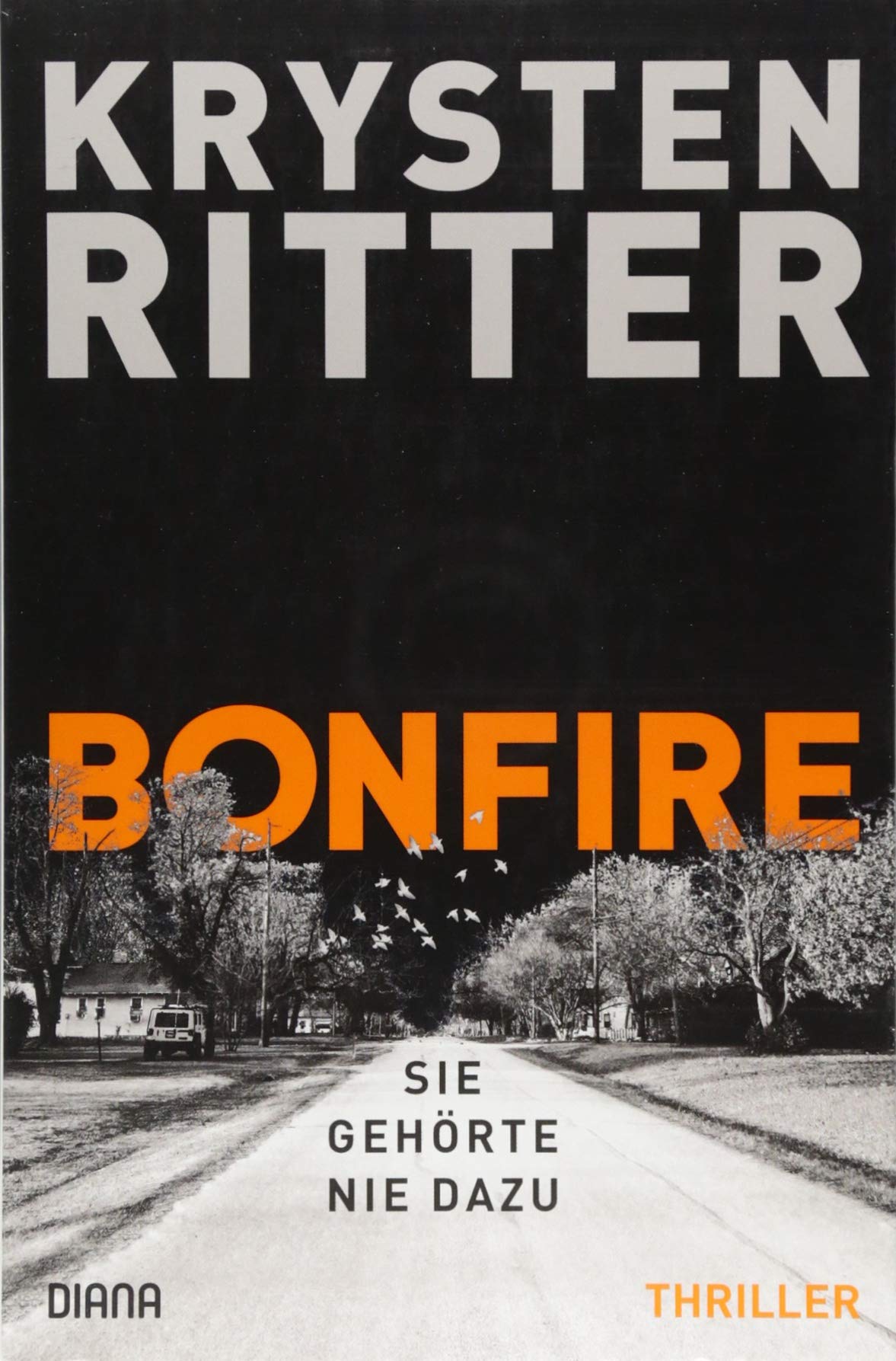 Bonfire – Sie gehörte nie dazu: Thriller