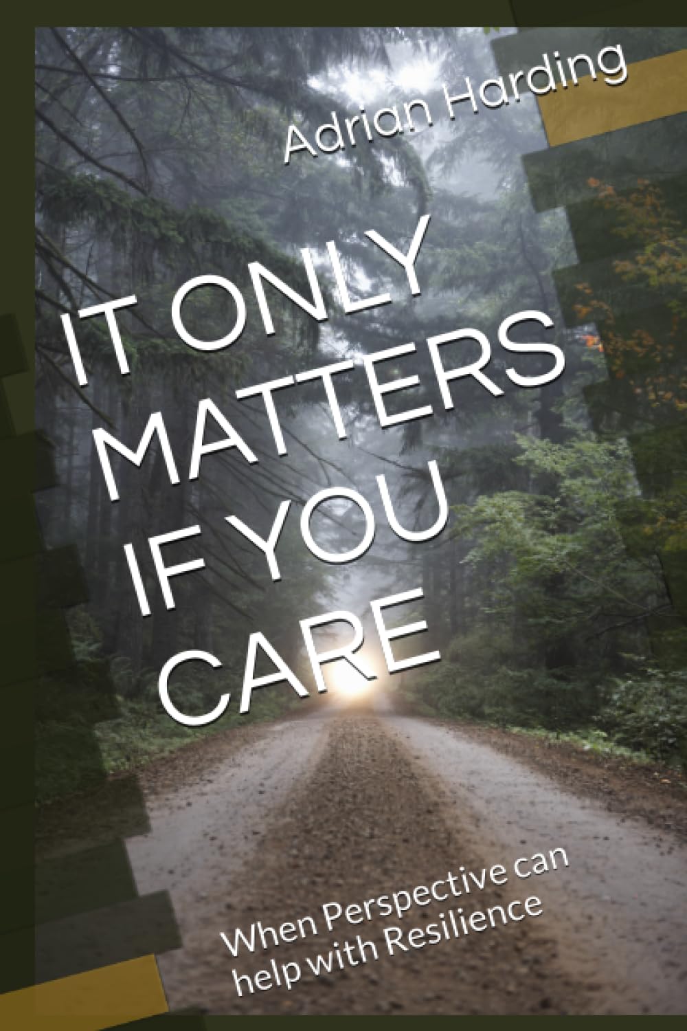IT ONLY MATTERS IF YOU CARE: When Perspective can help with Resilience