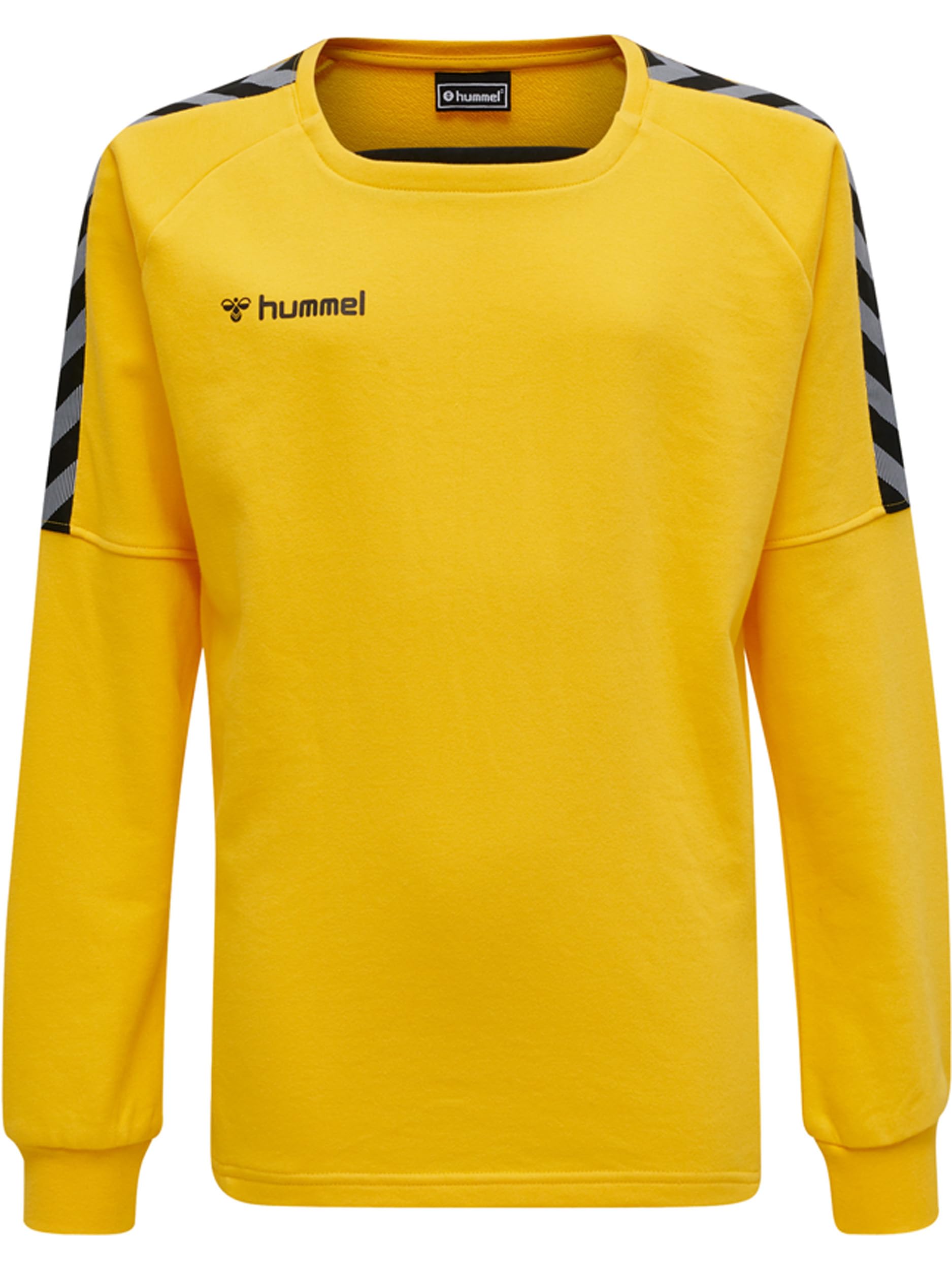 hummel Boys' Authentic Kids Training Sweatshirt