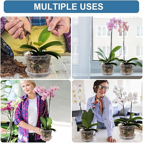 Miniatura 5 de DI QIU REN Paquete de 10 macetas de orquídeas transparentes para trasplantar, macetas de plástico de 6 pulgadas con agujeros y platillos, maceta de