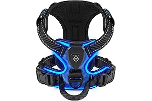 Light up Dog Harness for Enhanced Safety in Nighttime Outings