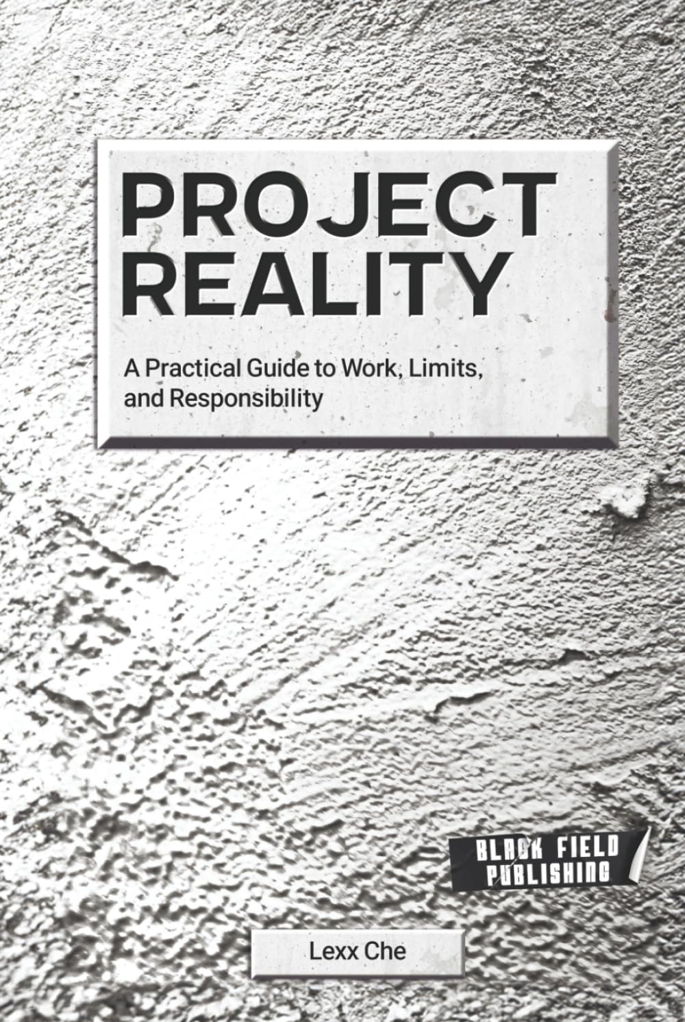 Project Reality: A Practical Guide to Work, Limits, and Responsibility (Reality Deskbooks)