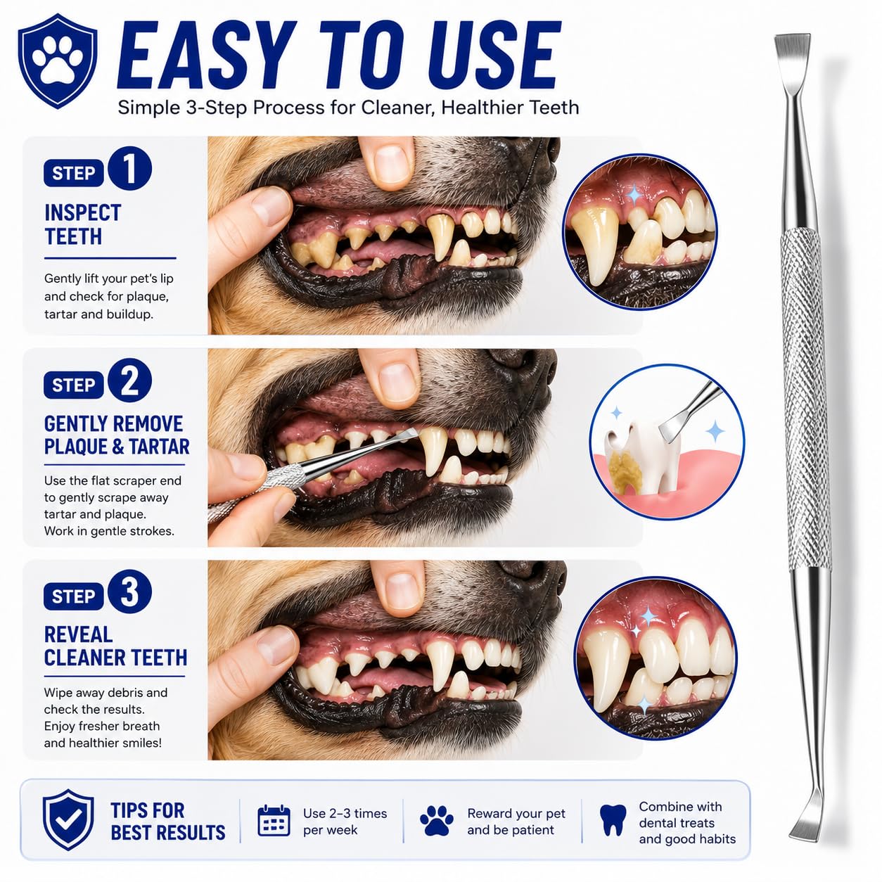 Herramientas dentales Rascador de sarro de doble cabeza Rascador de dientes dental Removedor de placa (perfecto para gatos y perros) Herramienta de limpieza de dientes de acero inoxidable