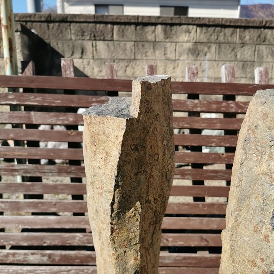 三波石　五色　10石　セット　庭石　石　鑑賞石　庭　坪庭　ガーデニング　置物 三波石 段石 28キロ 庭石 石 鑑賞石 庭 坪庭 ガーデニング 置物