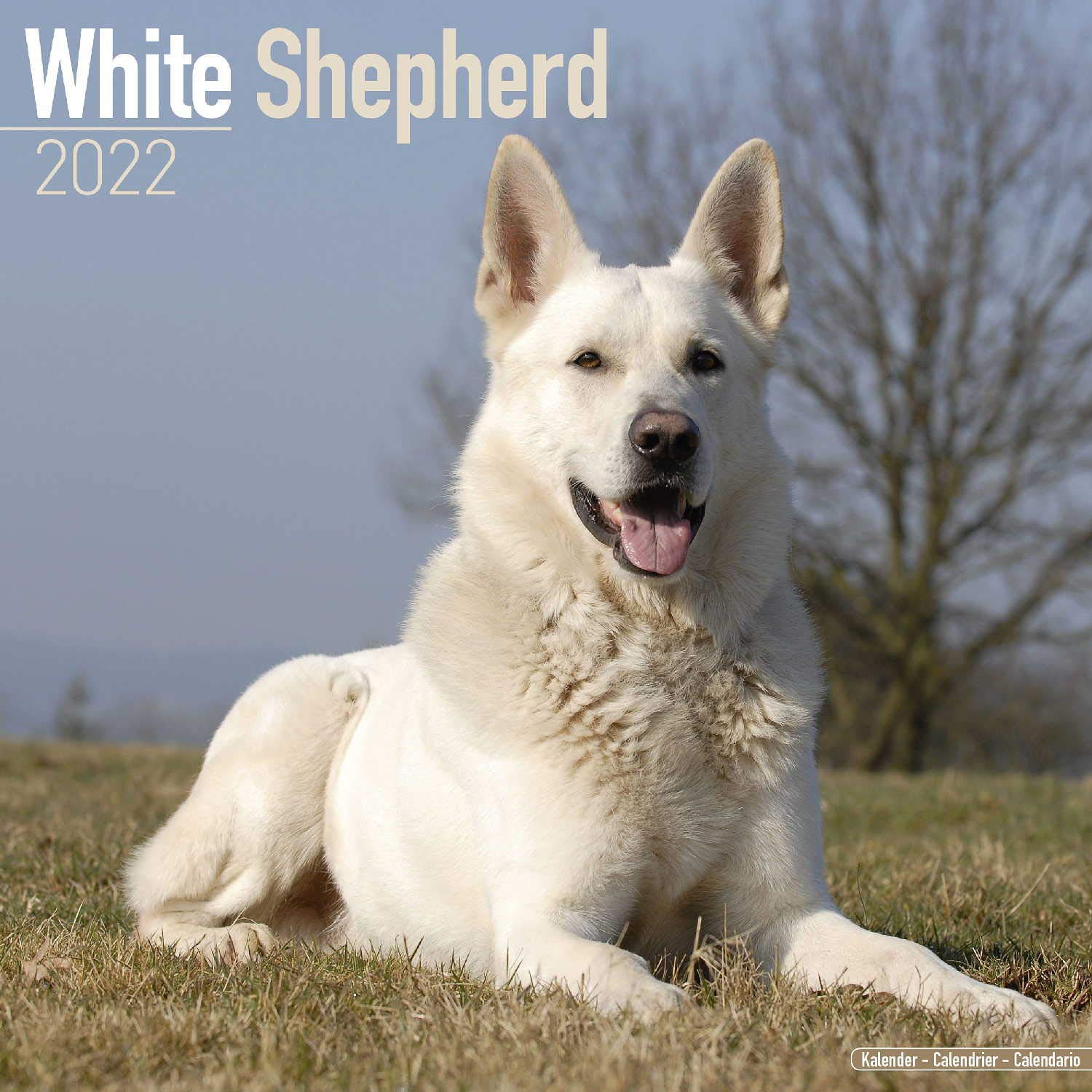 White Shepherd Calendar Dog Breed Calendars 2021 2022 wall