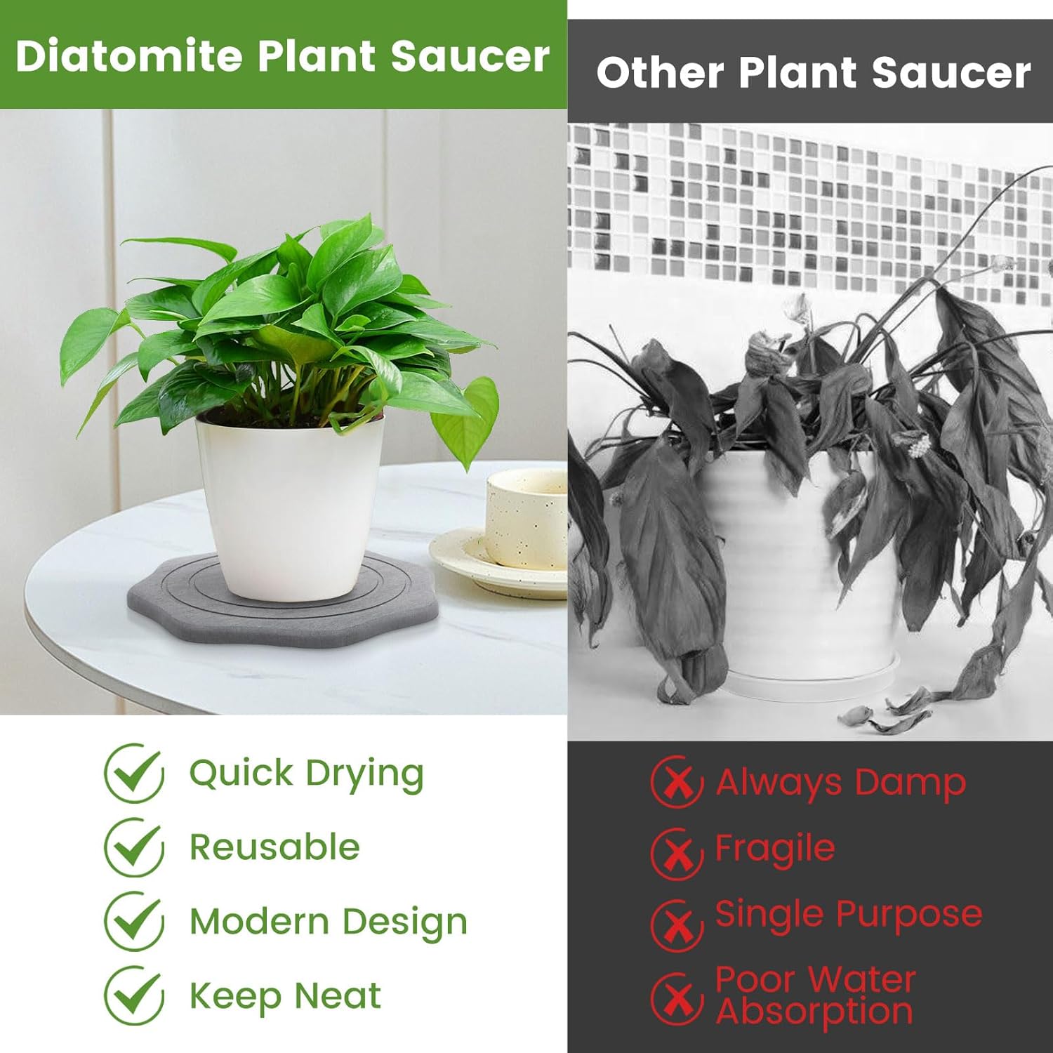 Plant Saucer for Indoors, 2 Packs 8 inch, Diatomaceous Earth Pot Saucers No Holes, Instant Dry Plant Drainage Trays for Pots, Dark Gray - Image 5