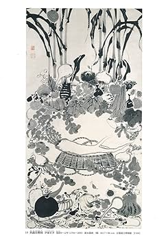 日本美術全集14 若冲・応挙、みやこの奇想　第二回配本・第14巻 江戸時代Ⅲ 日本美術全集14 若冲・応挙、みやこの奇想 (日本美術全集(全20巻