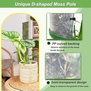 60/40/24 Metal Moss Pole, D Shape Sphagnum Moss Pole, Moss Poles for Climbing Plants, Monstera, Indoor Climbing Plants (1 Each of 60 40 24)