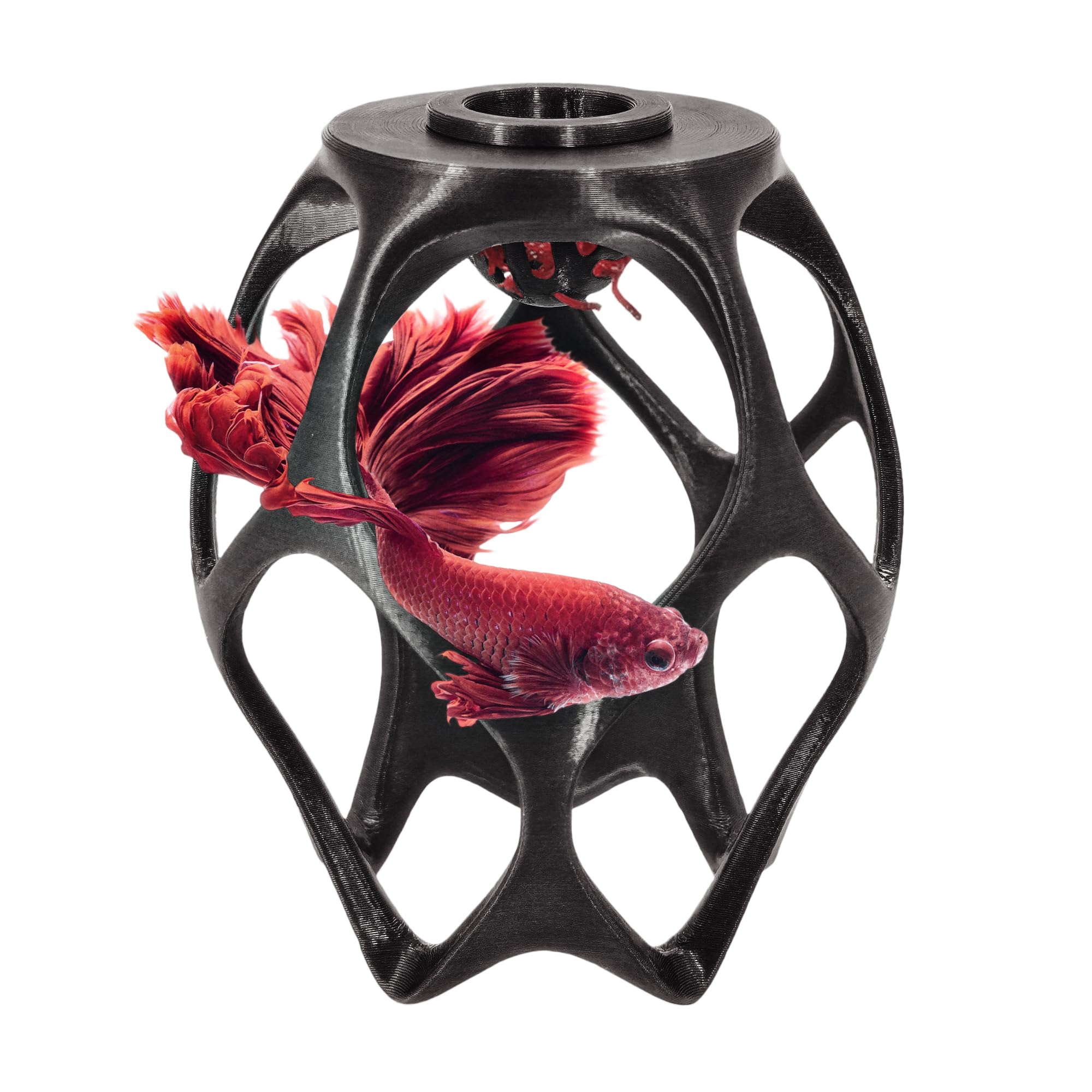 byMazy Betta Play Ground, Black, Regular