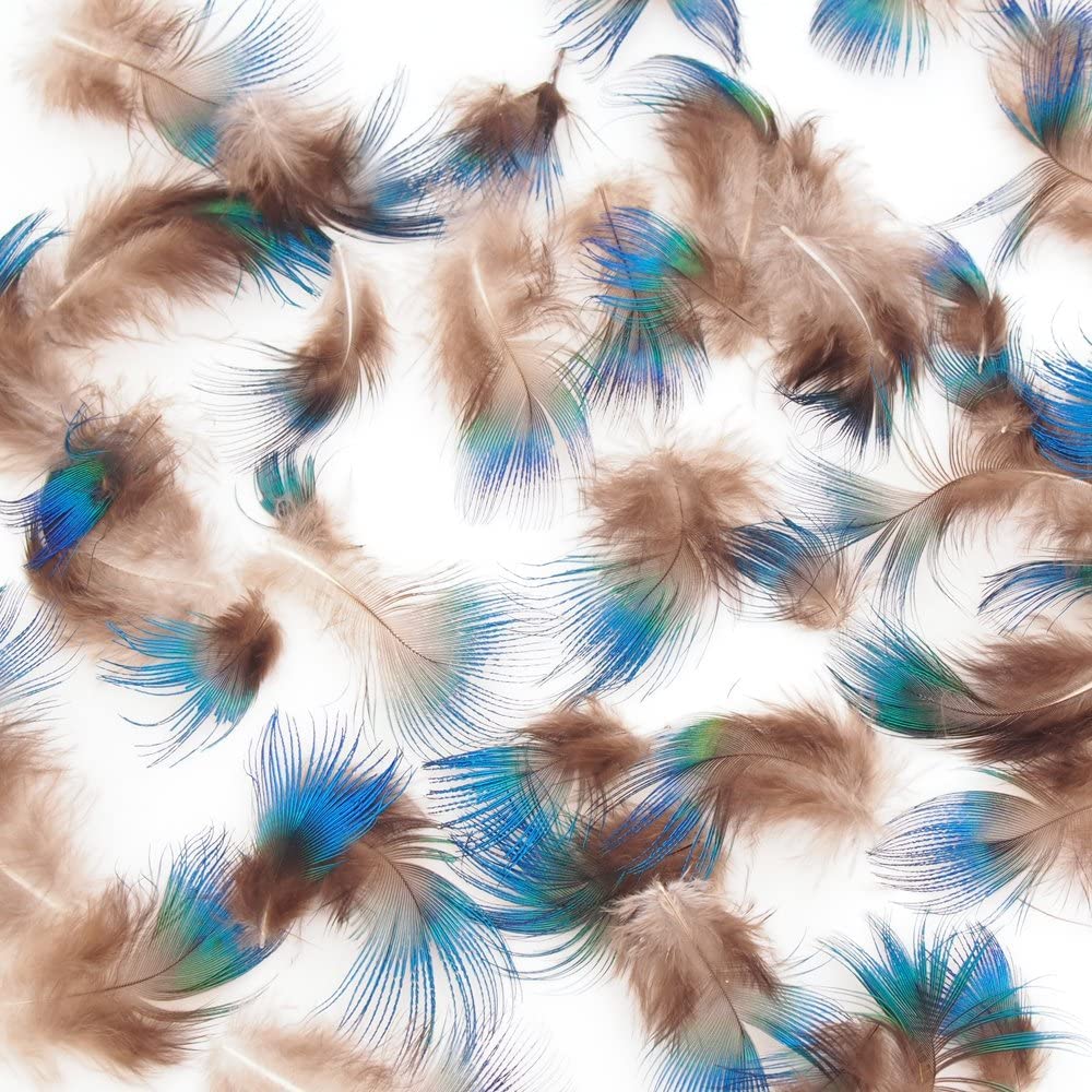 フライフィッシング用 フライマテリアル 鳥の羽根 フライマテリアル