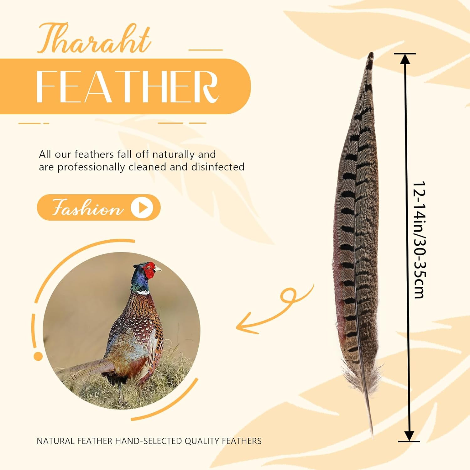 THARAHT 24pcs Male Ringneck Pheasant Tails Feathers Natural Feathers 12-14inch 30-35cm for Crafts Home Wedding Party Performance DIY Decoration Male Pheasant Feathers