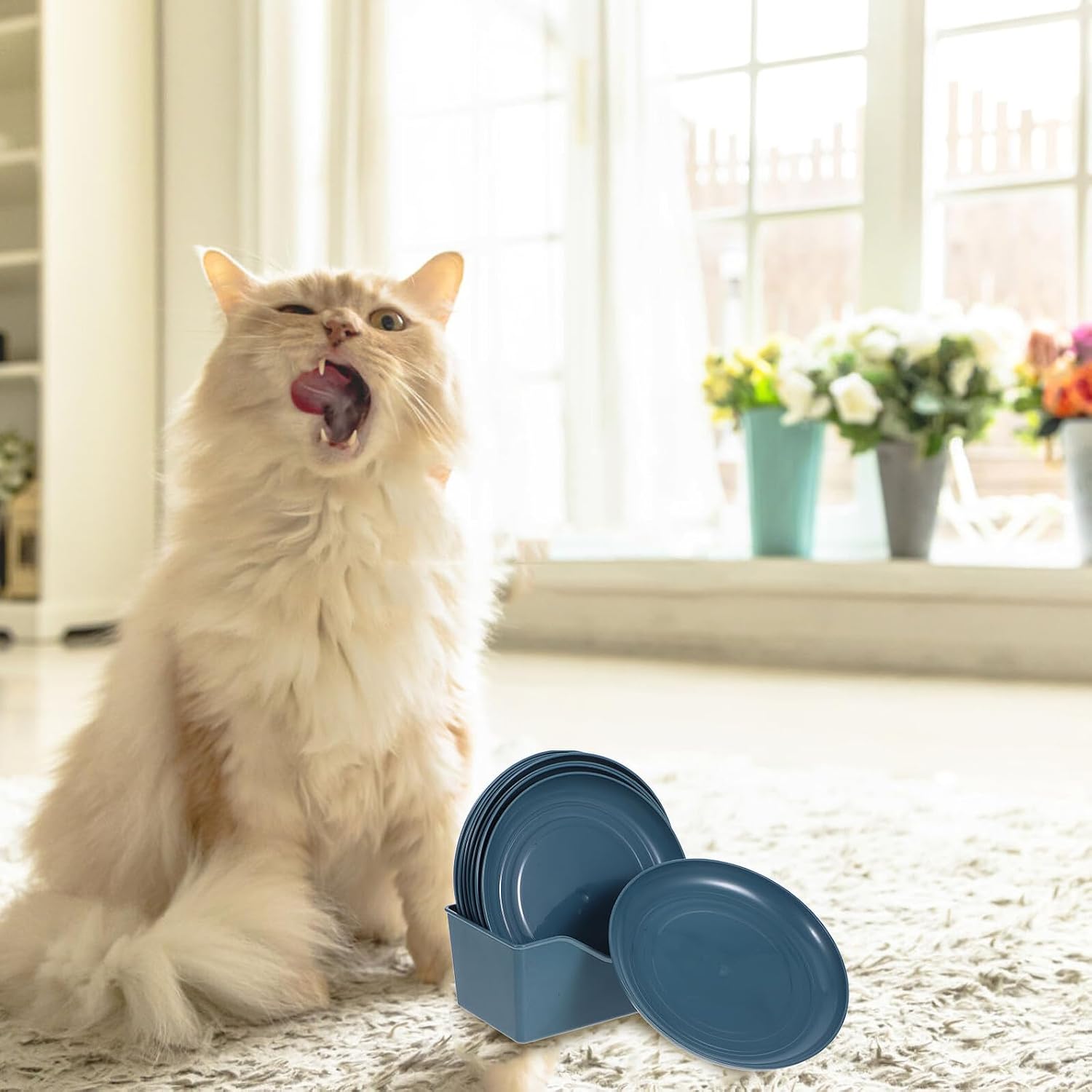 Mobestech 8pcs Shallow Cat Feeder Bowls Set with Stable Support Light Blue Plastic Small Flat Pet Food Dishes for Kittens and Short-Legged Cats Indoor Feeding
