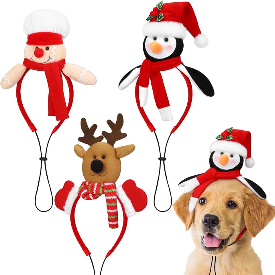 Amazon.co.uk Costumes for Dogs Costumes for Dogs / Clothing